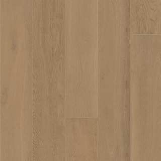 Picture of Palmetto Road - Outer Banks Kitty Hawk