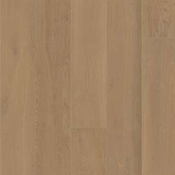 Picture of Palmetto Road - Outer Banks Kitty Hawk