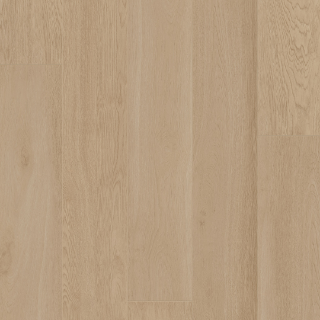 Picture of Palmetto Road - Outer Banks Ocean Trail