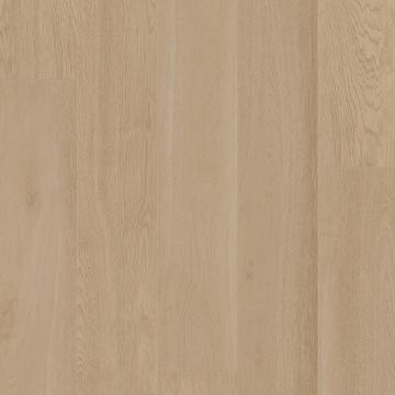 Picture of Palmetto Road - Outer Banks Ocean Trail