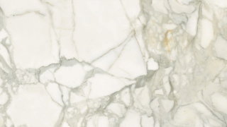 Picture of Iris Ceramica - Select Calacatta Oro Matte