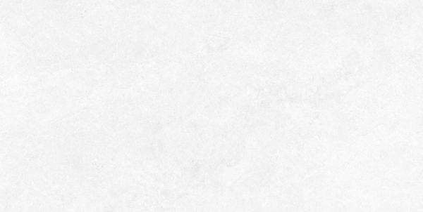 Picture of Ecoceramic - Babilon 24 x 48 Paver Artic