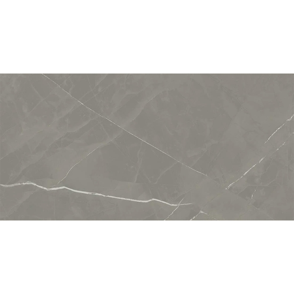 Picture of Atlas Concorde - Beyond Calacatta 24 x 48 Matte Gray