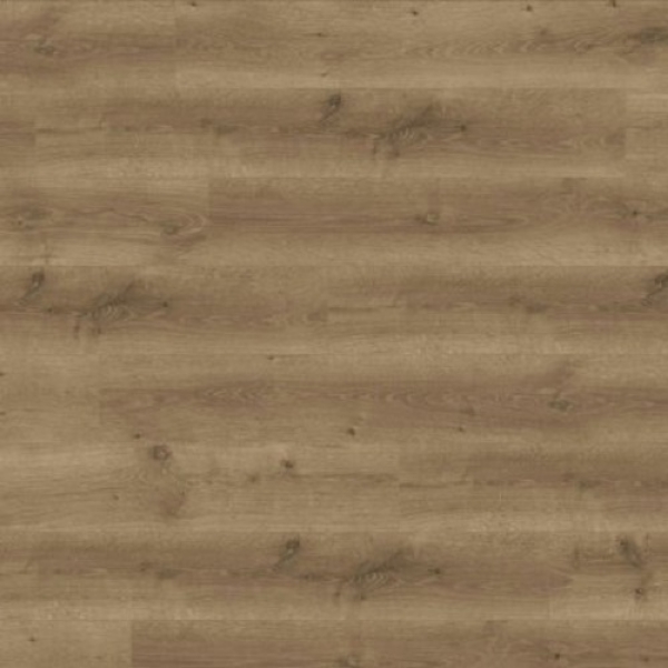 Picture of SFI Floors - Ecolam Daintree