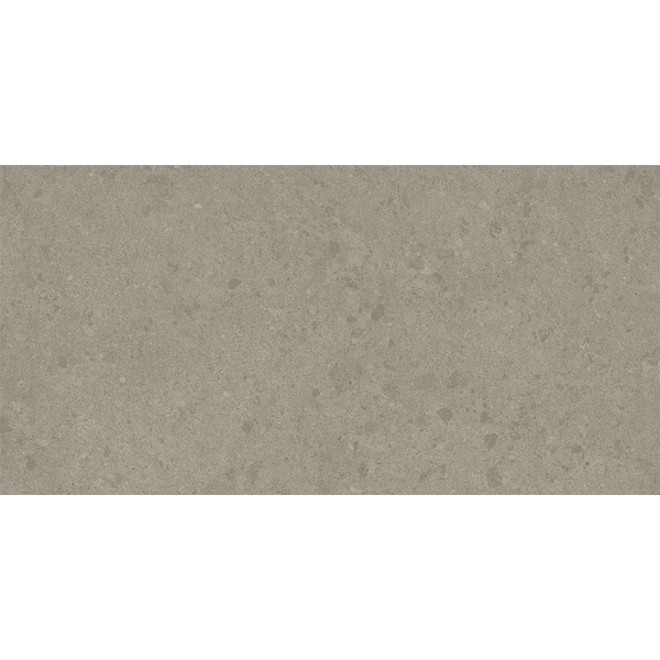 Picture of Atlas Concorde - Legacy Limestone 24 x 48 Harbor