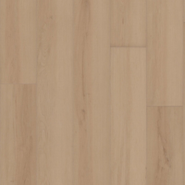 Picture of Shaw Floors - Ambition Champagne