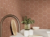 Picture of Shaw Floors - Tetra Hexagon Terracotta