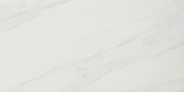 Picture of Ecoceramic - Calacatta Gold 24 x 48 Calacatta Gold Polished