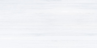 Picture of Ecoceramic - Dolomite 24 x 48 Dolomite Polished