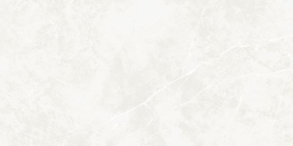 Picture of Ecoceramic - Puccini 24 x 48 Blanco Polished