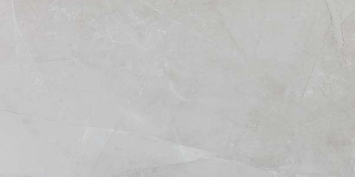 Picture of Ecoceramic - Slabs 30 x 60 Polished Perla