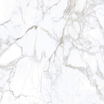 Picture of Tesoro - Lucca 24 x 24 Calacatta Matte