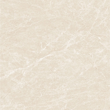 Picture of Tesoro - Lucca 24 x 24 Crema Marfil Matte