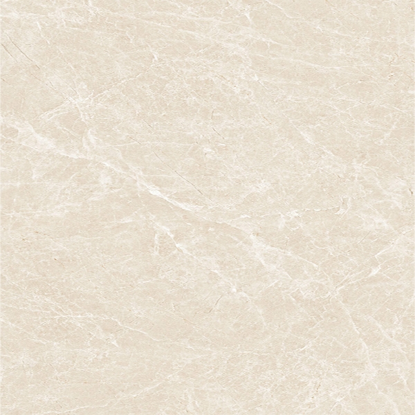 Picture of Tesoro - Lucca 24 x 24 Crema Marfil Polished
