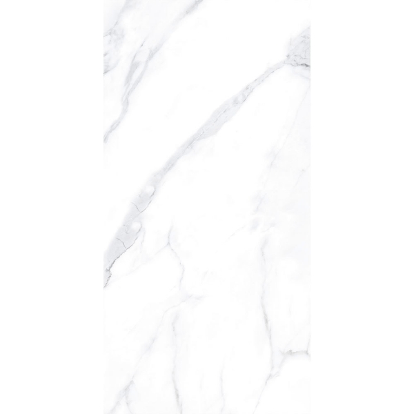 Picture of Tesoro - Lucca 24 x 48 Statuario Matte