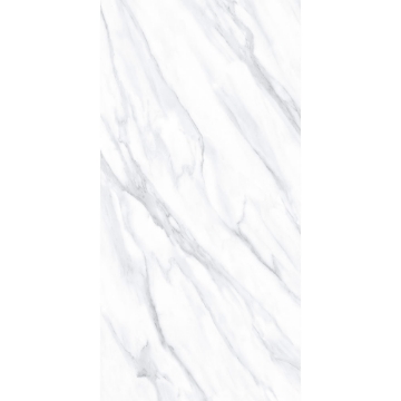 Picture of Tesoro - Lucca 24 x 48 Volakis Matte