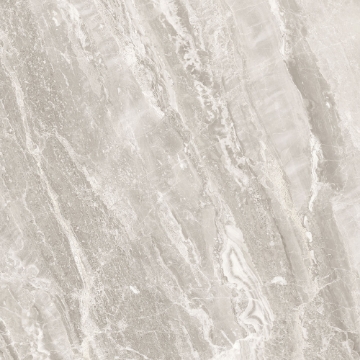 Picture of Tesoro - Mayfair 24 x 24 Matte Stella Argento