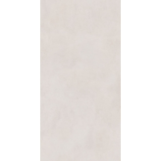 Picture of Roca - Pro 12 x 24 Matte Nude