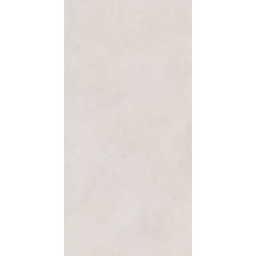 Picture of Roca - Pro 12 x 24 Matte Nude