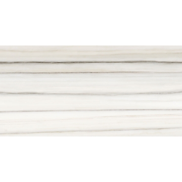 Picture of Tesoro - Mayfair 12 x 24 Matte Zebrino Grigio