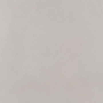 Picture of Roca - Pro 24 x 24 Polished Nude