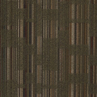 Picture of J+J Flooring - Evolve Catalyst