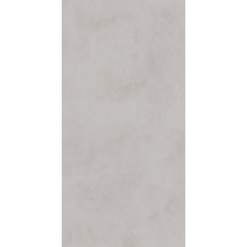 Picture of Roca - Pro 24 x 48 Matte Cement