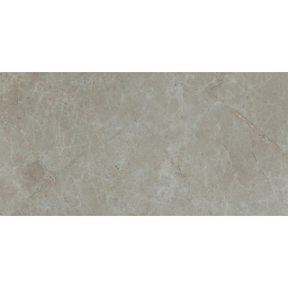 Picture of Tesoro - Hydra Isles 12 x 24 Silver A