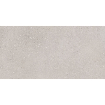 Picture of Roca - Pro Max 12 x 24 Matte Nude