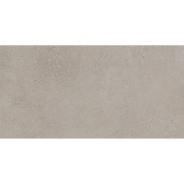 Picture of Roca - Pro Max 12 x 24 Matte Sand