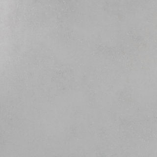 Picture of Roca - Pro Max 24 x 24 Matte Cement