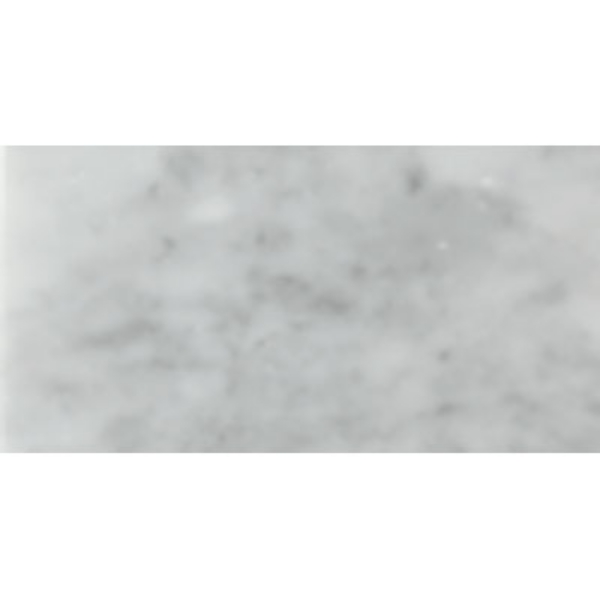 Picture of Tesoro - Metropolitan Stone 4 x 8 White Cararra Honed