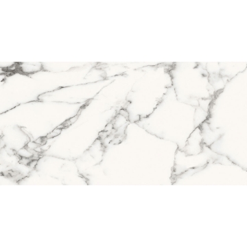 Picture of Roca - Slabs 24 x 48 Unpolished Carrara White