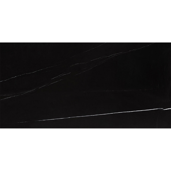 Picture of Roca - Slabs 24 x 48 Unpolished Sahara Noir