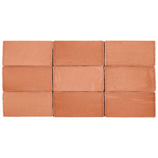 Picture of Roca - St Tropez 2.5 x 5 Coral