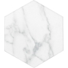 Picture of Roca - Statuary II Hexagon White