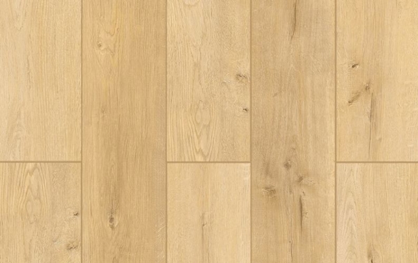 Picture of Lions Floor - Lone Star Spirit More Mesa