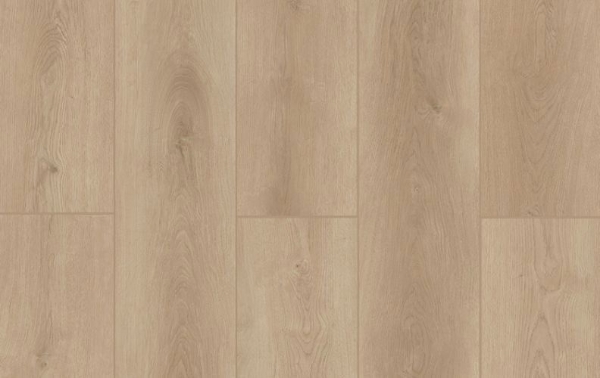 Picture of Lions Floor - Indoor Delight Castle Forge