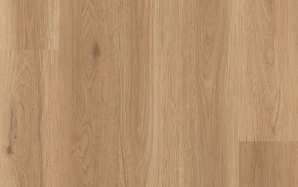 Picture of Lions Floor - District Pro Westgate