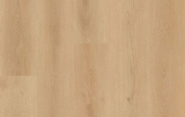 Picture of Lions Floor - District Pro Marquee