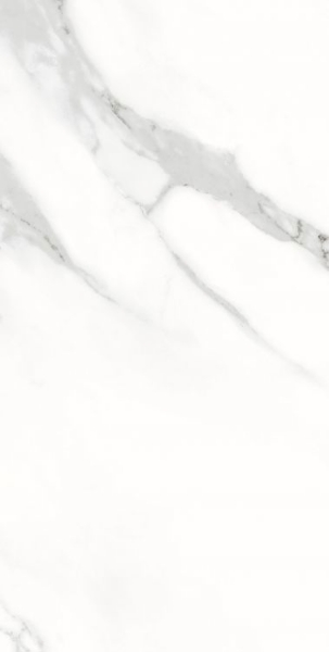 Picture of Elysium - AGL 12 x 24 Matte Statuario