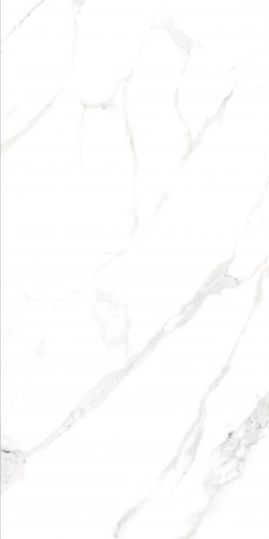 Picture of Elysium - AGL 24 x 48 Matte Statuario