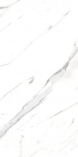 Picture of Elysium - AGL 24 x 48 Polished Carrara