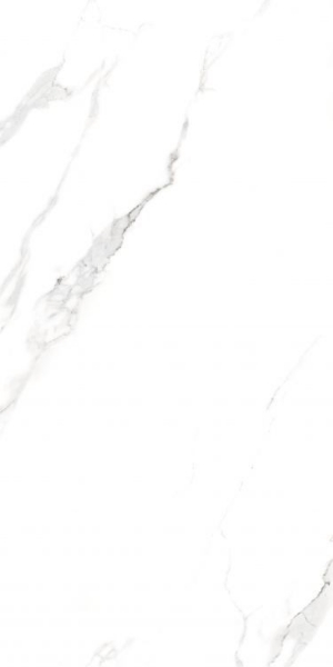 Picture of Elysium - AGL 24 x 48 Polished Statuario