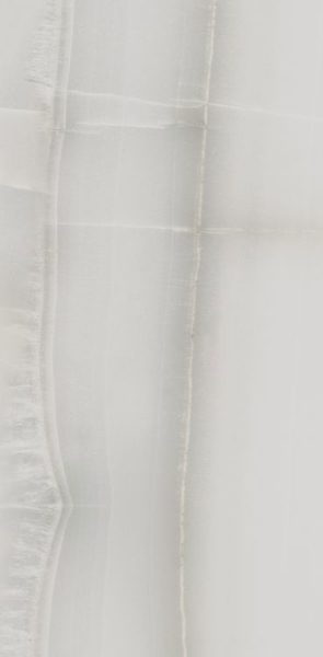 Picture of Elysium - Akoya 12 x 24 Matte Silver