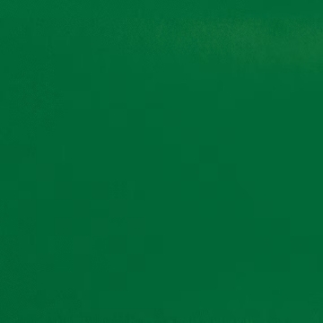 Picture of Daltile - Natural Hues 2.25 x 8 Spring Green