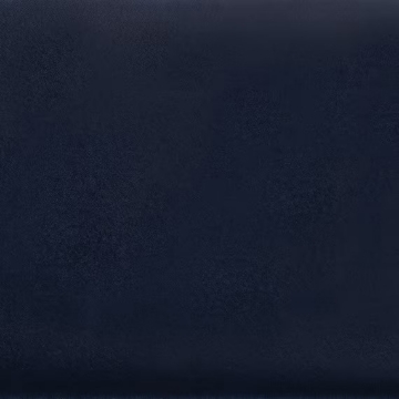 Picture of Daltile - Natural Hues 2.25 x 8 Midnight Blue