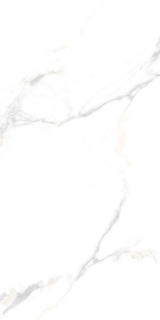 Picture of Tesoro - Cora 12 x 24 Calacatta