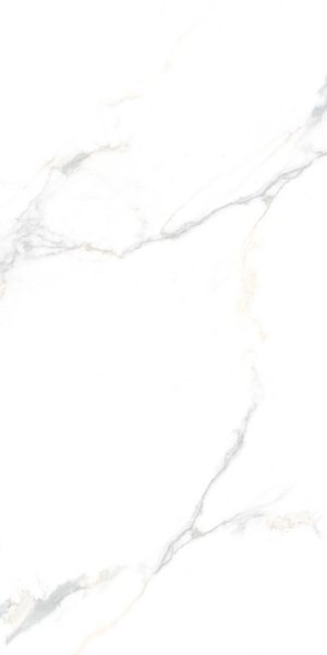 Picture of Tesoro - Cora 12 x 24 Calacatta