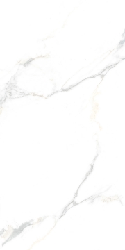 Picture of Tesoro - Cora 24 x 48 Calacatta